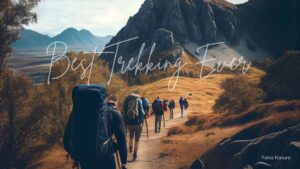 best trekking places in india