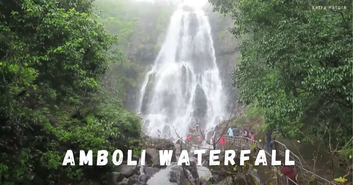 amboli waterfall