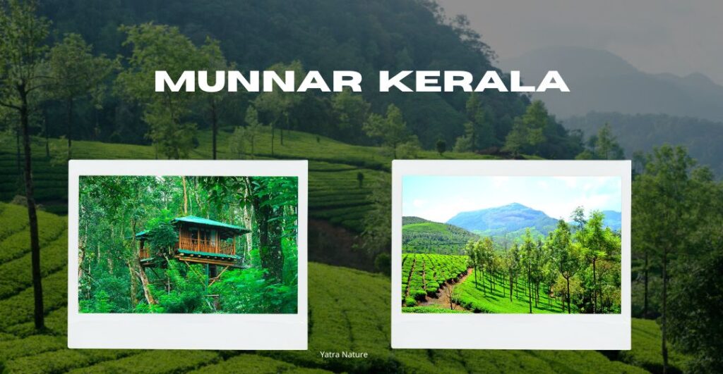Munnar Tourist Places