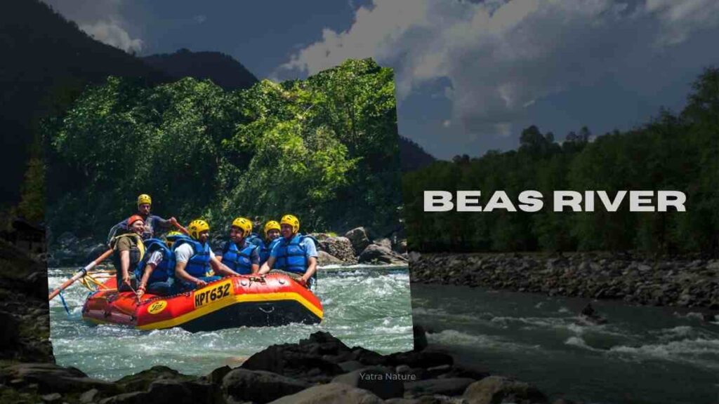 beas river