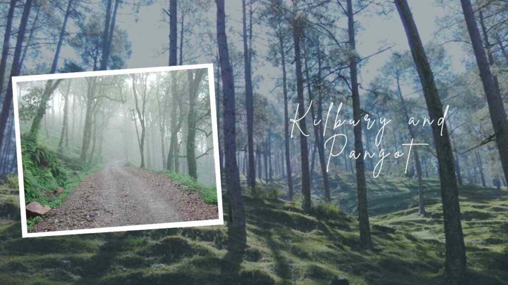 romantic nainital place